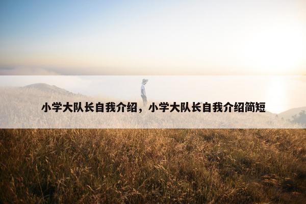 小学大队长自我介绍，小学大队长自我介绍简短