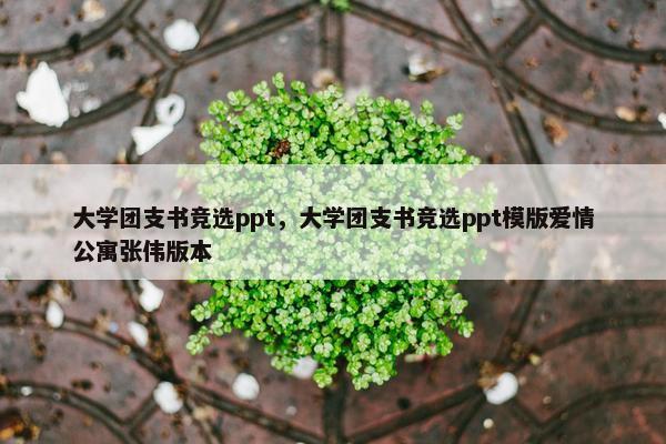 大学团支书竞选ppt，大学团支书竞选ppt模版爱情公寓张伟版本
