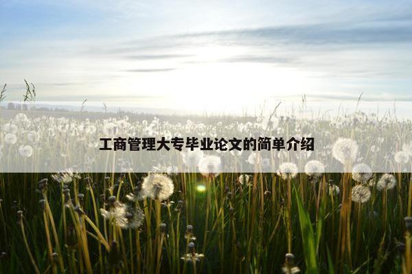 工商管理大专毕业论文的简单介绍