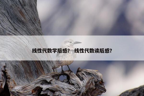 线性代数学后感？ 线性代数读后感？