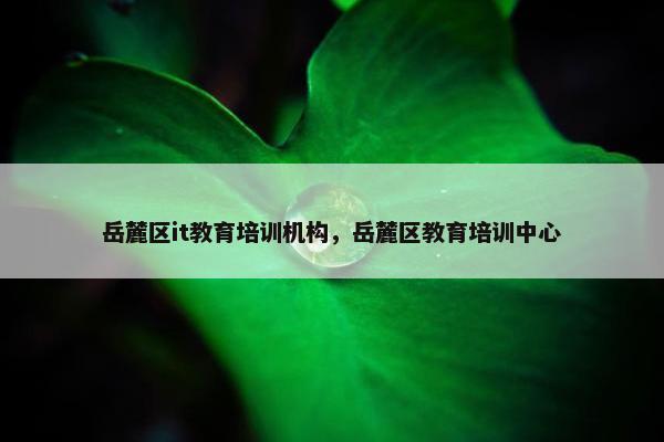 岳麓区it教育培训机构，岳麓区教育培训中心