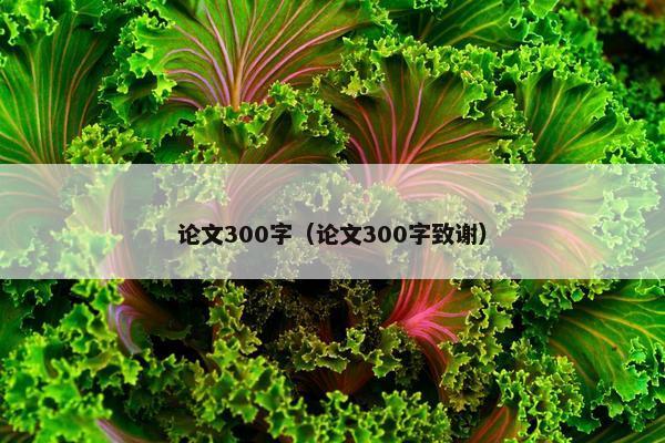 论文300字（论文300字致谢）