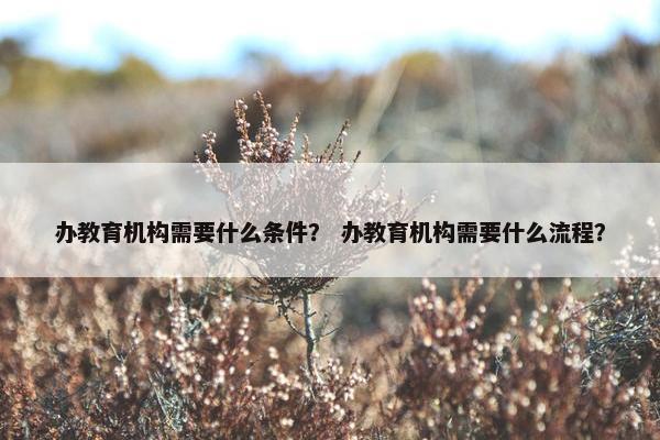 办教育机构需要什么条件？ 办教育机构需要什么流程？
