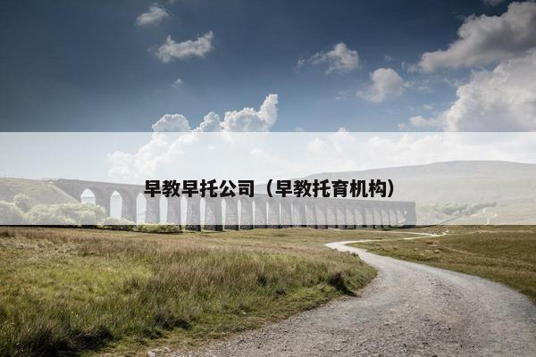 早教早托公司（早教托育机构）