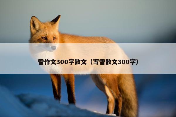 雪作文300字散文（写雪散文300字）