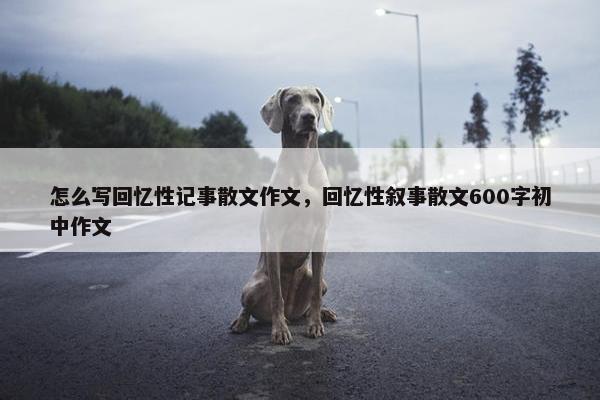 怎么写回忆性记事散文作文，回忆性叙事散文600字初中作文