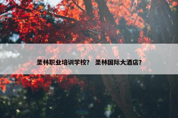 圣林职业培训学校？ 圣林国际大酒店？