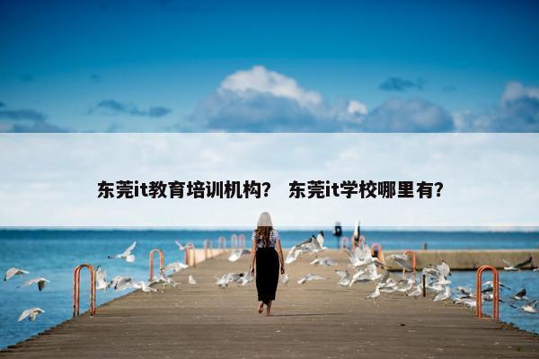 东莞it教育培训机构？ 东莞it学校哪里有？