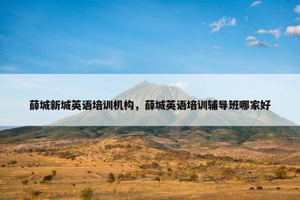 薛城新城英语培训机构，薛城英语培训辅导班哪家好