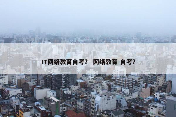 IT网络教育自考？ 网络教育 自考？
