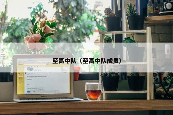 至高中队（至高中队成员）