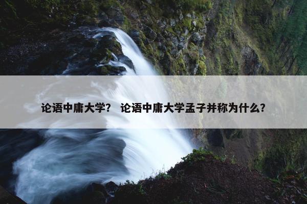 论语中庸大学？ 论语中庸大学孟子并称为什么？