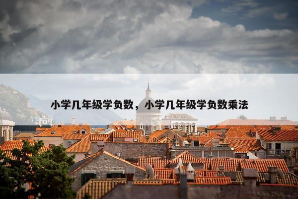 小学几年级学负数，小学几年级学负数乘法