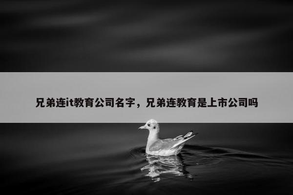 兄弟连it教育公司名字，兄弟连教育是上市公司吗