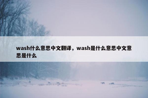 wash什么意思中文翻译，wash是什么意思中文意思是什么