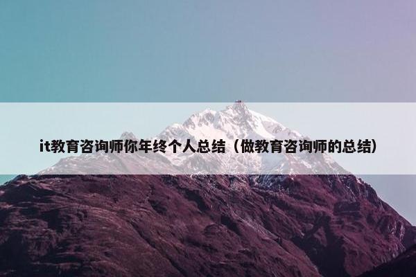 it教育咨询师你年终个人总结（做教育咨询师的总结）