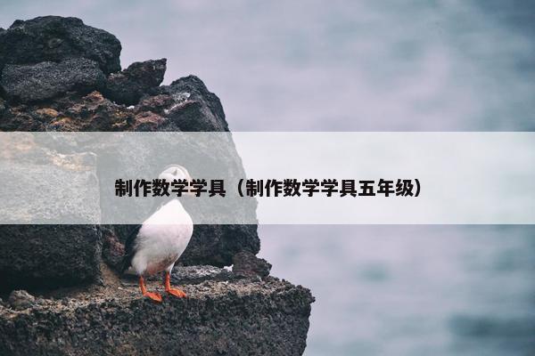 制作数学学具（制作数学学具五年级）