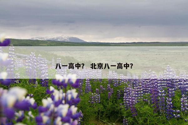 八一高中？ 北京八一高中？