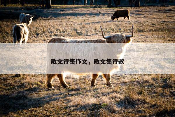 散文诗集作文，散文集诗歌