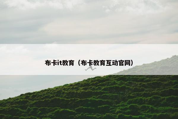 布卡it教育（布卡教育互动官网）