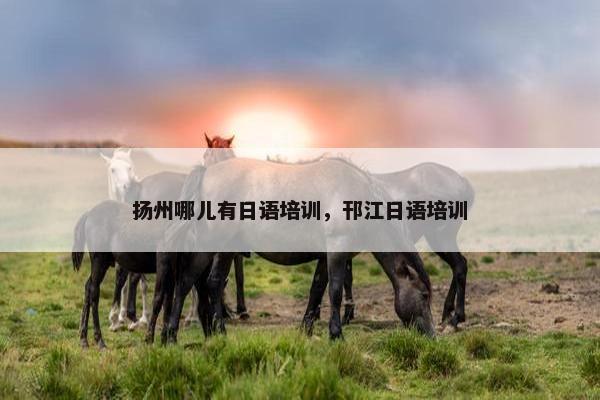 扬州哪儿有日语培训，邗江日语培训