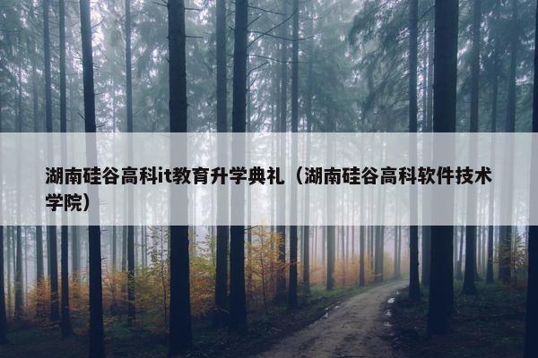 湖南硅谷高科it教育升学典礼（湖南硅谷高科软件技术学院）