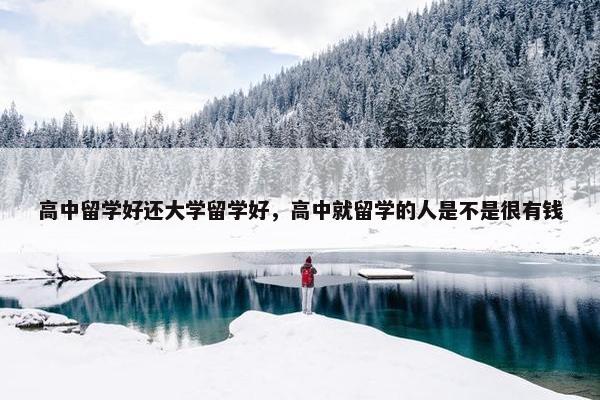 高中留学好还大学留学好，高中就留学的人是不是很有钱