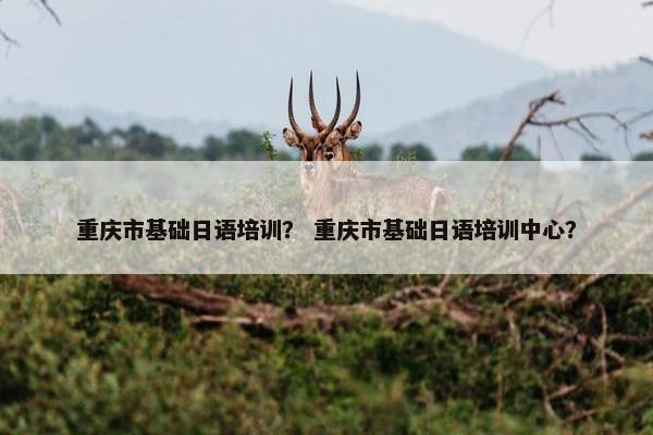 重庆市基础日语培训？ 重庆市基础日语培训中心？