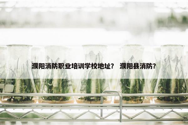 濮阳消防职业培训学校地址？ 濮阳县消防？