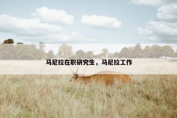 马尼拉在职研究生，马尼拉工作