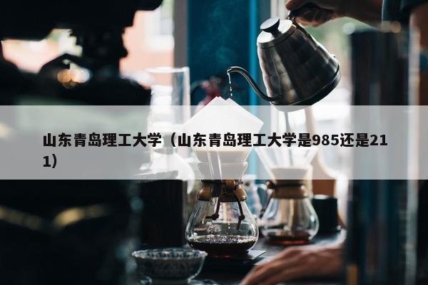 山东青岛理工大学（山东青岛理工大学是985还是211）