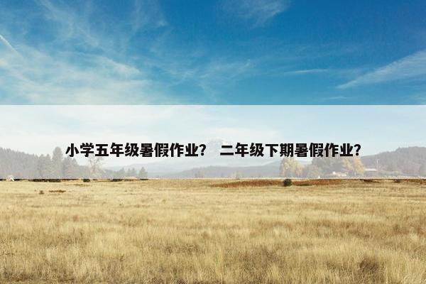 小学五年级暑假作业？ 二年级下期暑假作业？