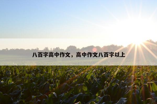八百字高中作文，高中作文八百字以上