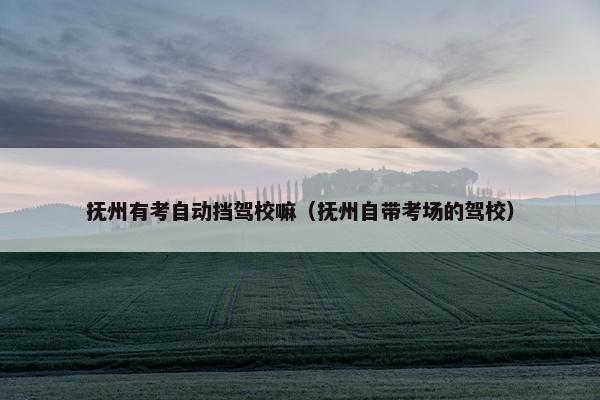 抚州有考自动挡驾校嘛（抚州自带考场的驾校）