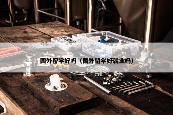 国外留学好吗（国外留学好就业吗）