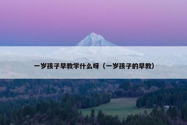 一岁孩子早教学什么呀（一岁孩子的早教）