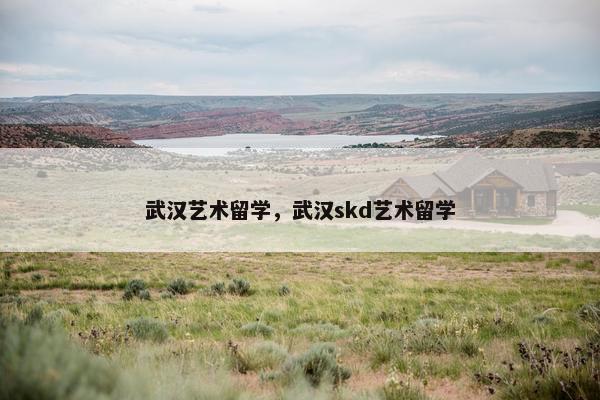武汉艺术留学，武汉skd艺术留学