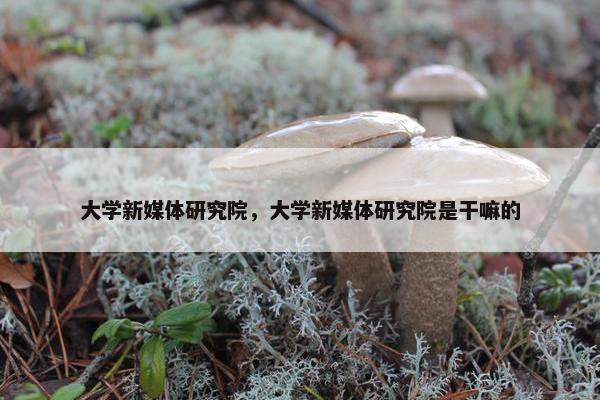 大学新媒体研究院，大学新媒体研究院是干嘛的