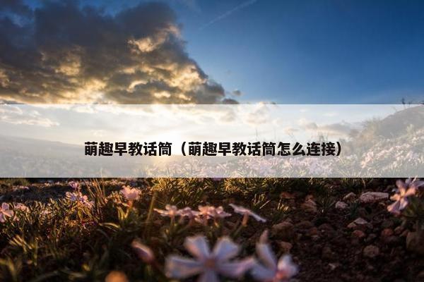 萌趣早教话筒（萌趣早教话筒怎么连接）