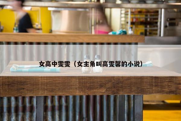 女高中雯雯（女主角叫高雯馨的小说）