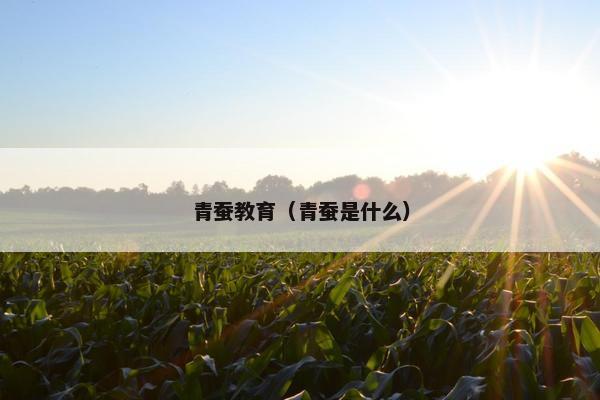 青蚕教育（青蚕是什么）