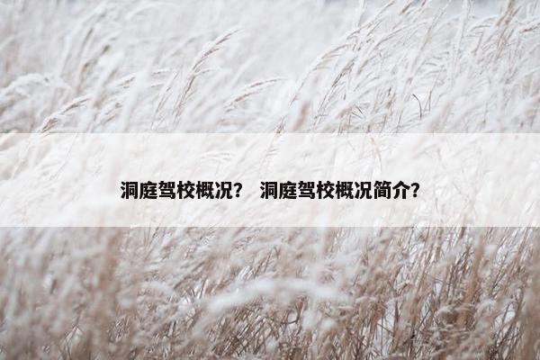 洞庭驾校概况？ 洞庭驾校概况简介？