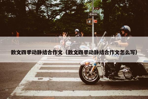 散文四季动静结合作文（散文四季动静结合作文怎么写）