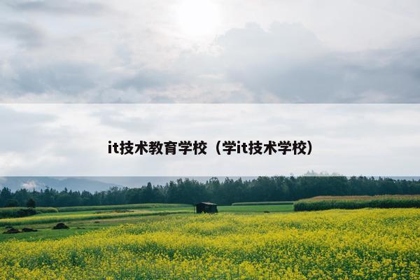 it技术教育学校（学it技术学校）