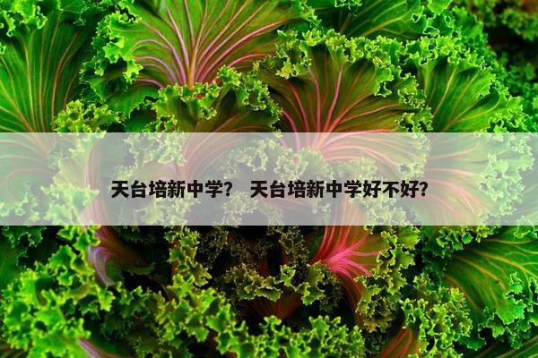 天台培新中学？ 天台培新中学好不好？