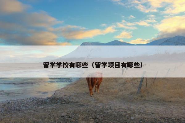 留学学校有哪些（留学项目有哪些）