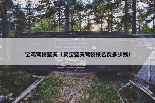 宝鸡驾校蓝天（灵宝蓝天驾校报名费多少钱）