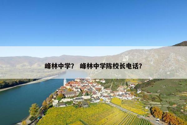 峰林中学？ 峰林中学陈校长电话？