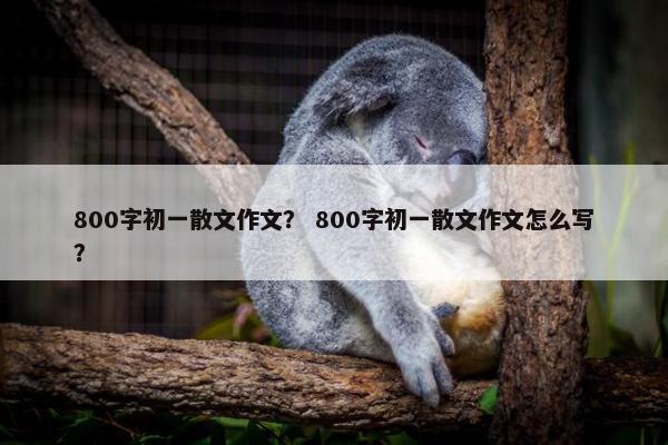 800字初一散文作文？ 800字初一散文作文怎么写？