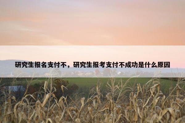研究生报名支付不，研究生报考支付不成功是什么原因